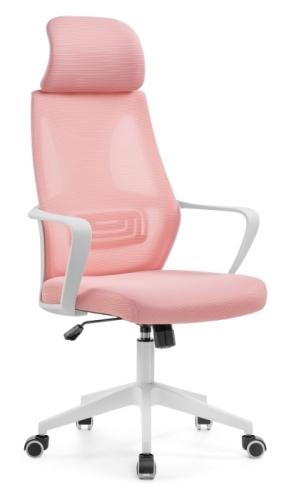 Office-19