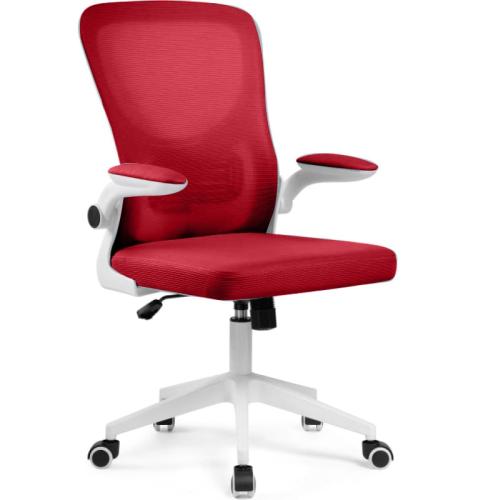 Office-31